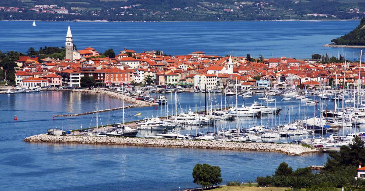 Villa Dolce Amaro Izola Esterno foto