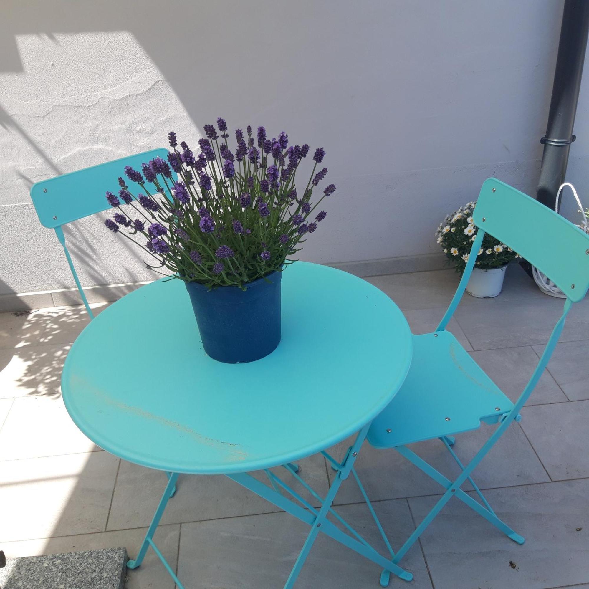 Villa Dolce Amaro Izola Esterno foto